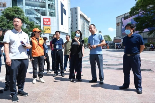 区委主要领导现场督办国家卫生城市复审迎检工作 中国科学网www.minimouse.com.cn