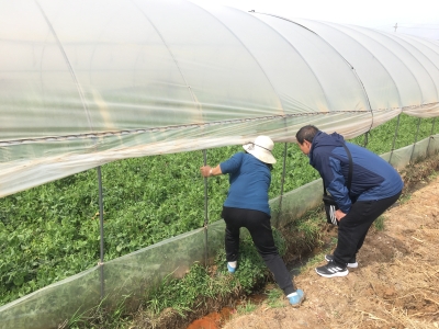 五华区2021年产地农产品质量安全监管要点在这里 中国科学网www.minimouse.com.cn