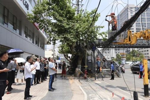 清理城市“蜘蛛网” 区政府主要领导率队调研金碧路架空线缆整治工作 中国科学网www.minimouse.com.cn