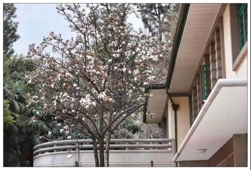 在央视《今日中国》,“瞰”五华红色足迹 中国科学网www.minimouse.com.cn 在央视《今日中国》,“瞰”五华红色足迹 中国科学网www.minimouse.com.cn