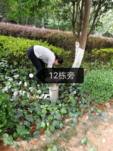 黑林铺街道黑林铺社区开展红火蚁防控工作 中国科学网www.minimouse.com.cn