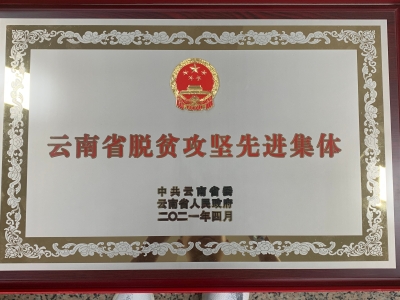 云南省脱贫攻坚先进集体奖牌