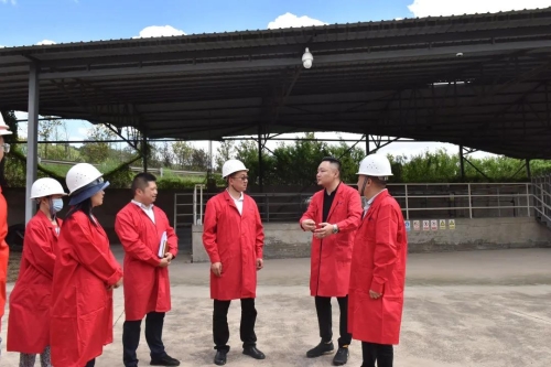 区政府主要领导实地调研西翥片区部分重点项目 中国科学网www.minimouse.com.cn