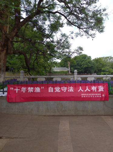 6·5世界环境日   宣传“十年禁渔” 中国科学网www.minimouse.com.cn