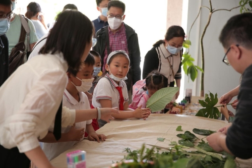五华区图书馆举办“植物大发现——从小小叶片到科学之路”阅读与实践活动 中国科学网www.minimouse.com.cn