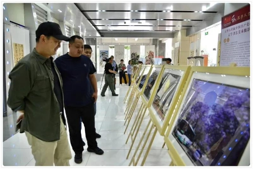 “五华人文·红色印迹”系列报道21｜文学书法摄影美术作品展开展 中国科学网www.minimouse.com.cn