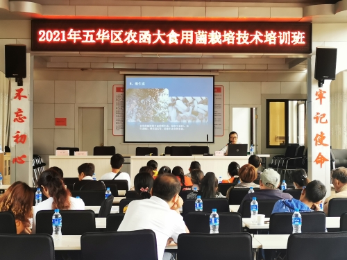 五华区开展农函大食用菌栽培技术培训 中国科学网www.minimouse.com.cn