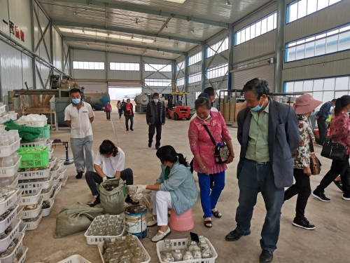 五华区开展农函大食用菌栽培技术培训 中国科学网www.minimouse.com.cn