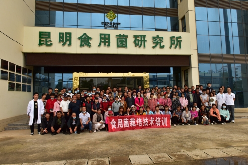 五华区开展农函大食用菌栽培技术培训 中国科学网www.minimouse.com.cn