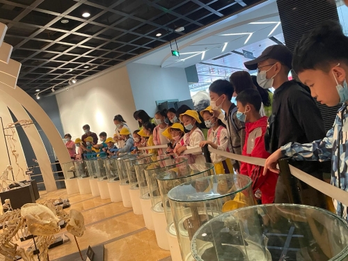 龙翔街道团工委开展“缤纷夏日 放飞梦想”夏令营活动 中国科学网www.minimouse.com.cn