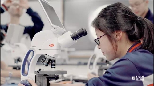 五华区打造“全学段融通、一体化发展”的五华样本 中国科学网www.minimouse.com.cn 五华区打造“全学段融通、一体化发展”的五华样本 中国科学网www.minimouse.com.cn