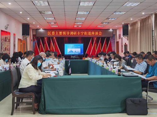 区委主要领导调研丰宁街道 中国科学网www.minimouse.com.cn