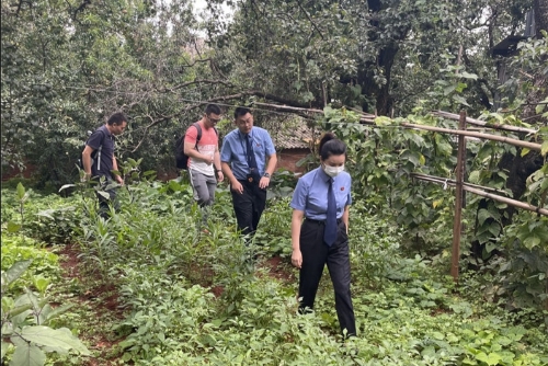 检爱同行 共护未来 未检 公益诉讼 打出未成年保护组合拳 中国科学网www.minimouse.com.cn