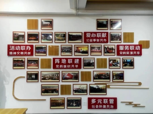 莲华街道抓实“三个好”，打造共建共治共享新格局 中国科学网www.minimouse.com.cn