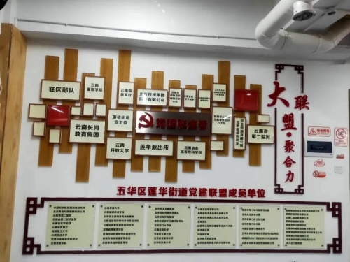 莲华街道抓实“三个好”，打造共建共治共享新格局 中国科学网www.minimouse.com.cn