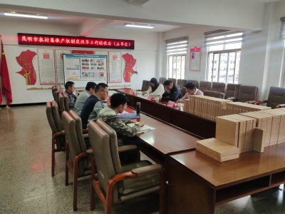 省、市级到五华区对农村集体产权制度改革完成情况开展评估和验收 中国科学网www.minimouse.com.cn