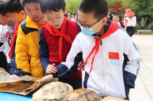 黑林铺街道国际花园社区开展“种下科学的种子，让梦想发芽”科普进校园活动 江南全站手机版