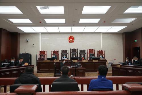 【以案释法】剑指非法占用林地，守住守好林地生态红线！ 五华法院开庭审理一起非法占用农用地案 中国科学网www.minimouse.com.cn