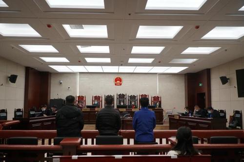 【以案释法】剑指非法占用林地，守住守好林地生态红线！ 五华法院开庭审理一起非法占用农用地案 中国科学网www.minimouse.com.cn