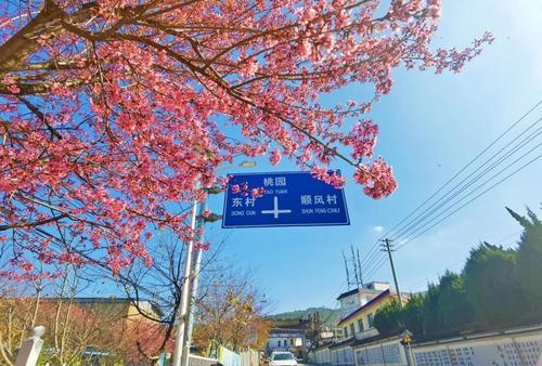 乡村振兴看西翥 五华让广大农民生活更加美好 中国科学网www.minimouse.com.cn 乡村振兴看西翥 五华让广大农民生活更加美好 中国科学网www.minimouse.com.cn