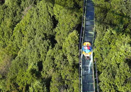  五华区春节旅游消费持续向好 实现旅游收入2.60亿元 中国科学网www.minimouse.com.cn