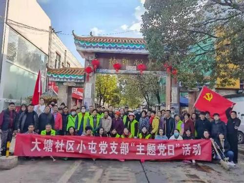 普吉街道大塘社区开展春节前爱国卫生 大扫除活动图1