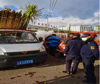 普吉街道执法中队开展节前市容环境整治 中国科学网www.minimouse.com.cn