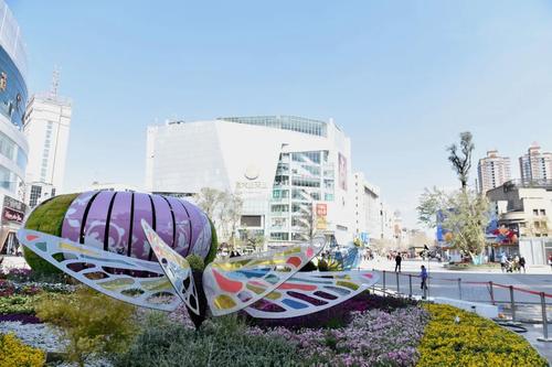  当好排头兵 五华在争先︱开新局谋新篇 护国街道奋楫争先启新程 中国科学网www.minimouse.com.cn