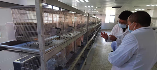 五华区自然资源局积极开展野生动物保护相关工作 中国科学网www.minimouse.com.cn