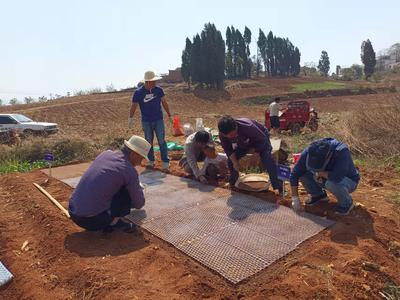 五华区农业农村局积极开展水稻旱地覆膜栽培技术试验 中国科学网www.minimouse.com.cn