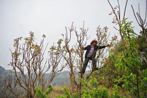  乡村振兴 | “香椿”振兴 产业托起群众致富新希望 中国科学网www.minimouse.com.cn