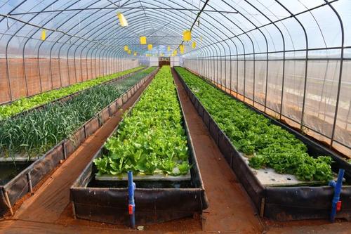  乡村振兴 | 产业赋能 跑出乡村振兴“加速度” 中国科学网www.minimouse.com.cn