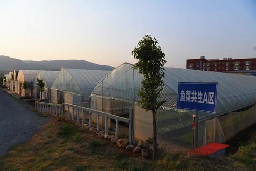  乡村振兴 | 产业赋能 跑出乡村振兴“加速度” 中国科学网www.minimouse.com.cn