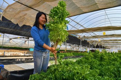  乡村振兴 | 产业赋能 跑出乡村振兴“加速度” 中国科学网www.minimouse.com.cn