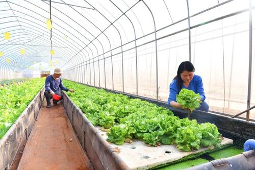  乡村振兴 | 产业赋能 跑出乡村振兴“加速度” 中国科学网www.minimouse.com.cn