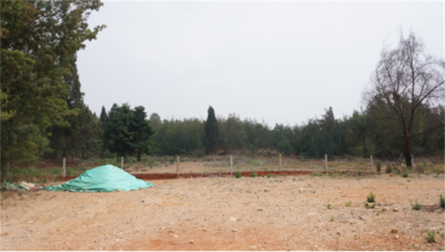 公益诉讼“回头看” 五华区检察院持续跟进监督破坏长虫山生态环境案 中国科学网www.minimouse.com.cn