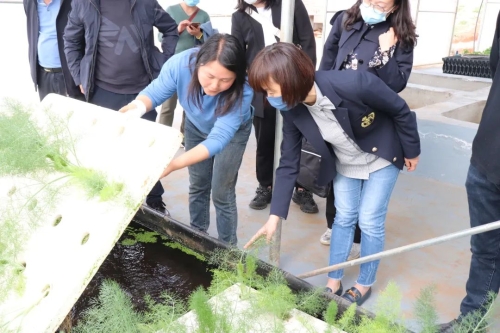 区政协主要领导率队开展“双助推”调研 中国科学网www.minimouse.com.cn