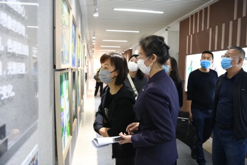 区政协主要领导开展青少年体育设施建设情况调研 中国科学网www.minimouse.com.cn