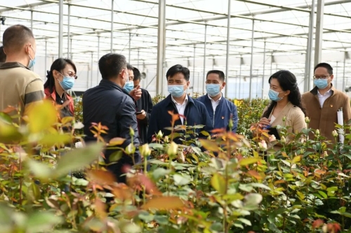 区委主要领导调研西翥街道重点工作及产业发展情况 中国科学网www.minimouse.com.cn