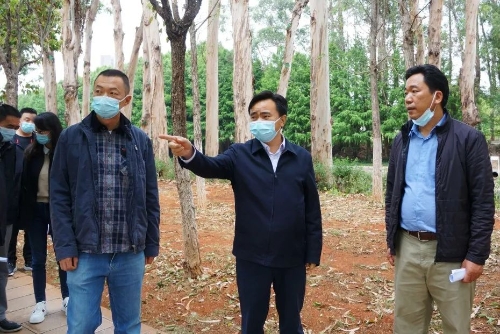 区委主要领导对盘龙江沿线进行巡查 中国科学网www.minimouse.com.cn