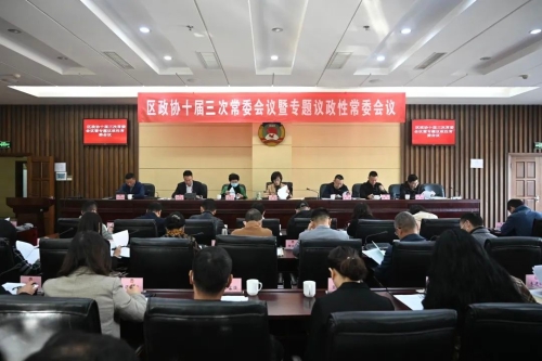 政协十届三次常委会