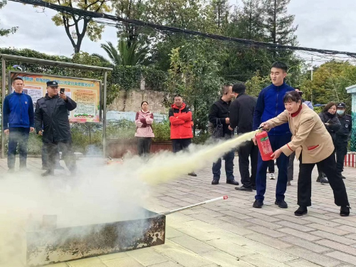 图片8