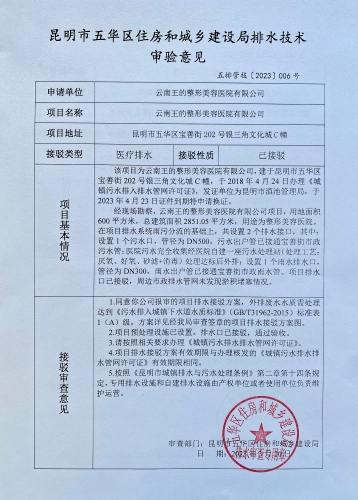 6.五华区宝善街202号银三角文化城C幢云南王的整形美容医院有限公司排水技术审验意见