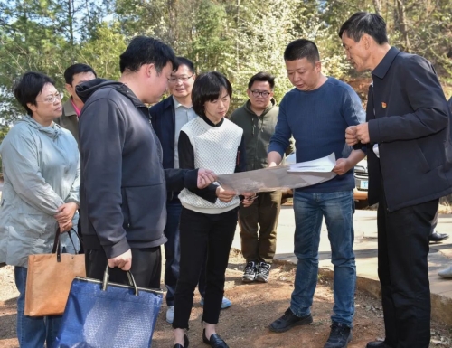 区政协主要领导对林长制工作落实情况进行督察