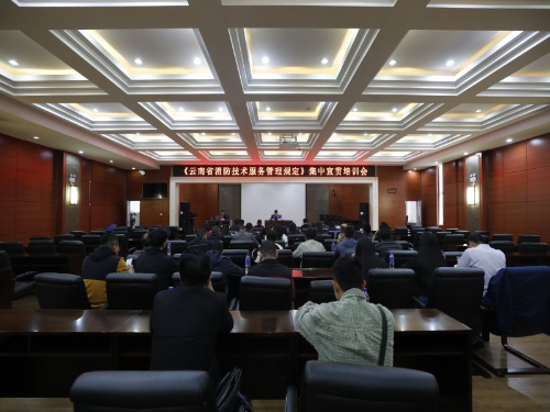 图片13