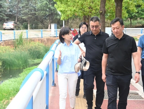 区政协主要领导巡查新运粮河