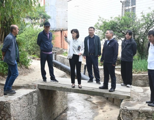 区政协主要领导巡查新运粮河综合整治情况