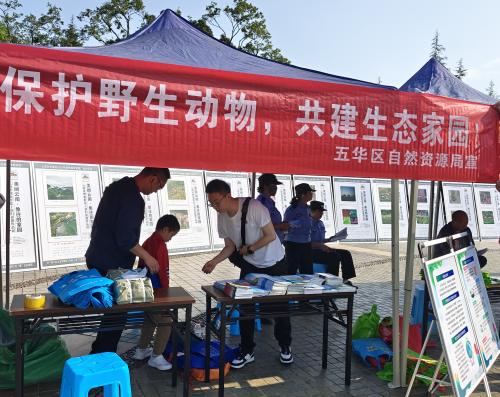 图片1