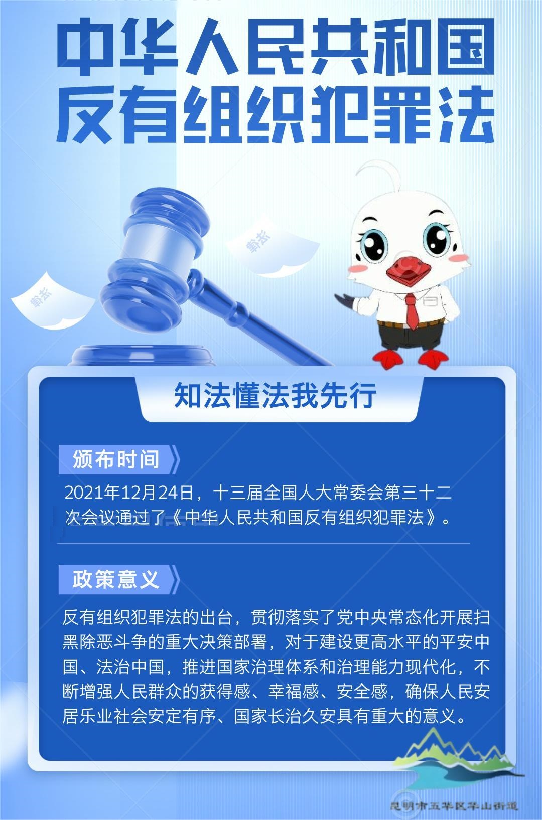反有组织犯罪法—知法懂法我先行1 20241111
