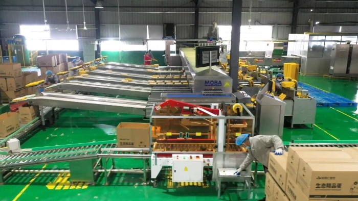 2025021742f4dbd75a024d5a93d6a10aef731509_ec886f61915f4224a9e1027427e37c242222